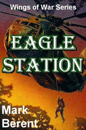 Book cover of Eagle Station