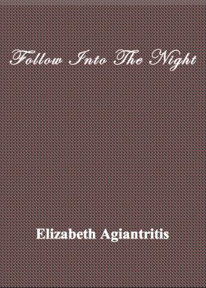Cover of Follow Into The Night