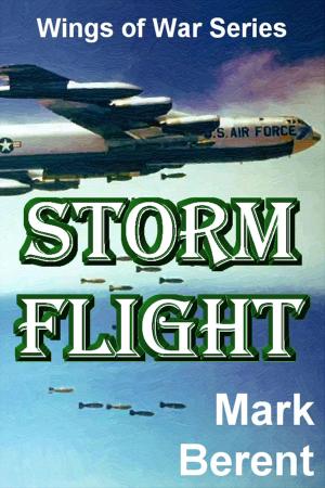 Book cover of Storm Flight