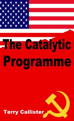 Cover of the book The Catalytic Programme by Joshua Scheunemann