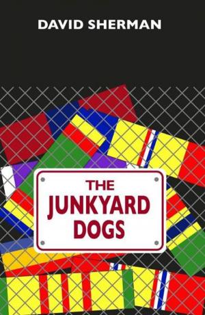 Book cover of The Junkyard Dogs