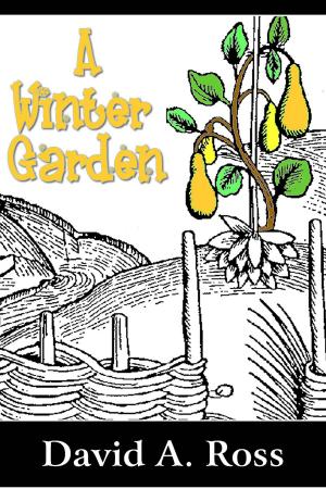 Book cover of A Winter Garden