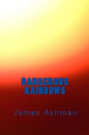 Cover of the book Dangerous Rainbows by Christina J Adams