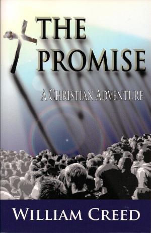 Cover of the book The Promise: A Christian Adventure Book Three by Lucille Bellucci