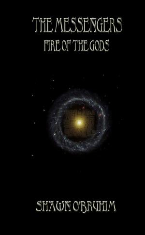 bigCover of the book The Messengers: Fire of the Gods by 