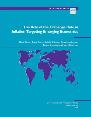 Cover of the book The Role of the Exchange Rate in Inflation-Targeting Emerging Economies by Tamim Mr. Bayoumi, Guy Mr. Meredith, Bijan Aghevli