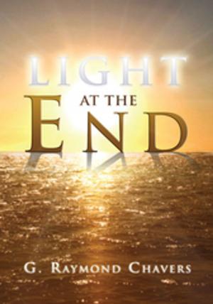 Cover of the book Light at the End by Wilhelmina Grant
