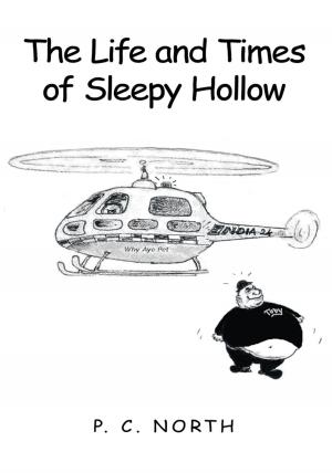 Book cover of The Life and Times of Sleepy Hollow