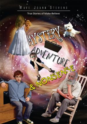 Cover of Mystery, Adventure & Nonsense
