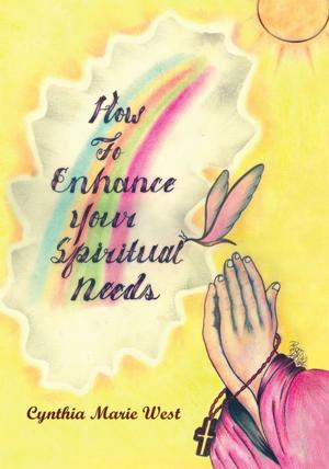 Cover of the book How to Enhance Your Spiritual Needs by Terry Parrott