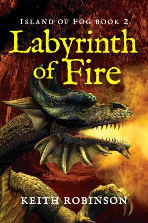 Book cover of Labyrinth of Fire