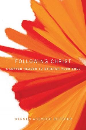 Cover of the book Following Christ by Roy Abraham Varghese