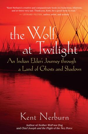 Cover of the book The Wolf at Twilight by Barbara Ardinger