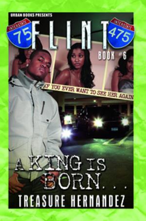 Cover of the book Flint Book 6 by Keith Lee Johnson