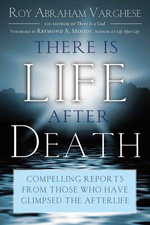 Cover of the book There Is Life After Death by Nick Redfern