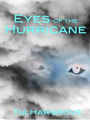 Cover of the book Eyes of the Hurricane by Sofia Sans