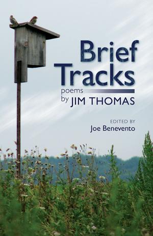 Cover of the book Brief Tracks by Titos Patrikios