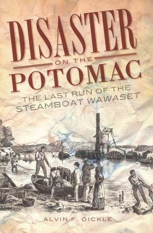 Cover of the book Disaster on the Potomac by David H. Steinberg, Chattanooga Choo Choo