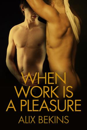 Cover of the book When Work Is a Pleasure by Ana Raine