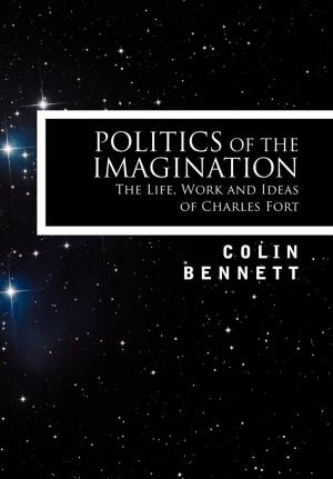 Cover of the book Politics of the Imagination by Danny Schechter