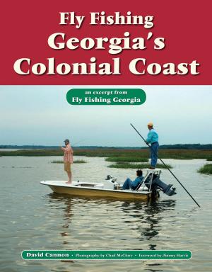 Cover of the book Fly Fishing Georgia's Colonial Coast by Brian Grossenbacher, Jenny Grossenbacher