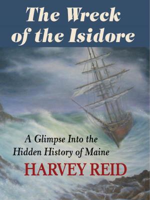 Book cover of The Wreck of the Isidore