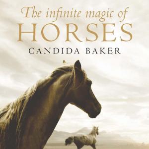 Cover of the book The Infinite Magic of Horses by Ursula Dubosarsky, Terry Denton
