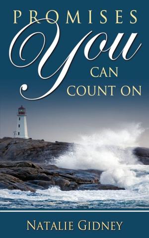 Cover of the book Promises You Can Count On by Royal M. Hamel