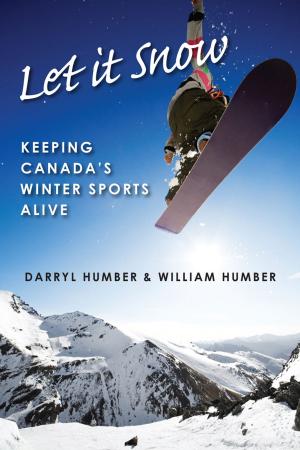 Cover of the book Let It Snow by 