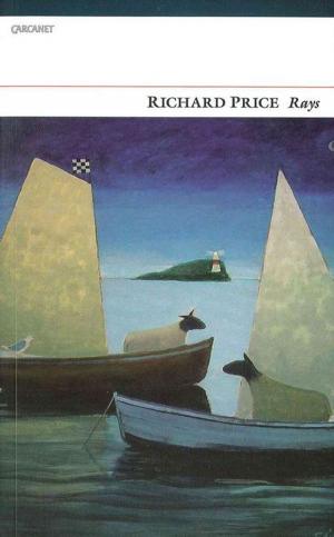 Cover of the book Rays by David Kinloch