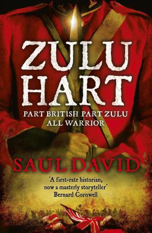 Cover of the book Zulu Hart by C. M. Hoffman
