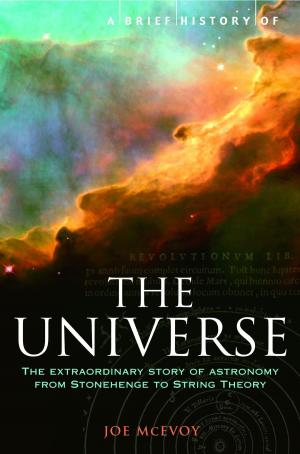 Book cover of A Brief History of the Universe