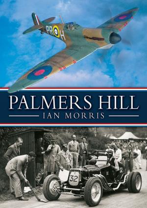 Book cover of Palmers Hill
