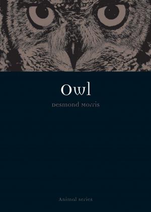 Cover of the book Owl by Elizabeth E. Guffey