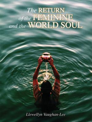 Book cover of Return of the Feminine and the World Soul