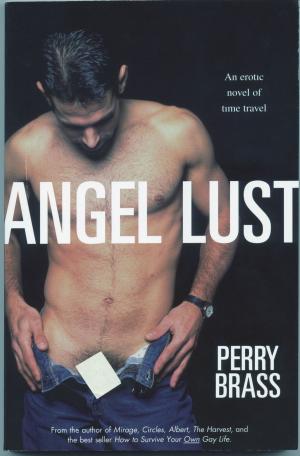 Book cover of Angel Lust, An Erotic Novel of Time Travel