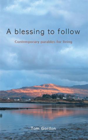 bigCover of the book Blessing to Follow by 