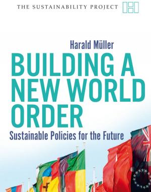 Cover of the book Building a New World Order by Christian Schünemann, Jelena Volic
