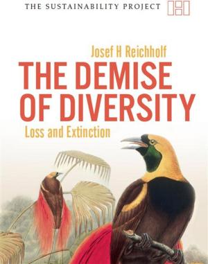 bigCover of the book Demise of Diversity by 