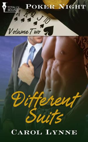 Cover of the book Different Suits by Carol Lynne
