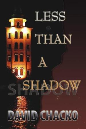 Cover of the book Less than a Shadow by David Chacko