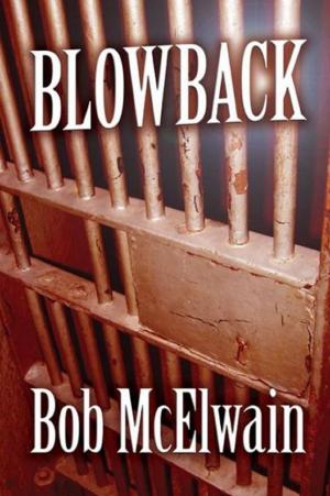 Cover of the book Blowback by Colin D. Jones