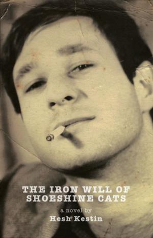 Book cover of The Iron Will of Shoeshine Cats