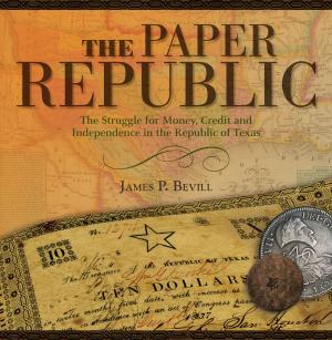 Cover of the book The Paper Republic by Jim Boylston, Allen Wiener