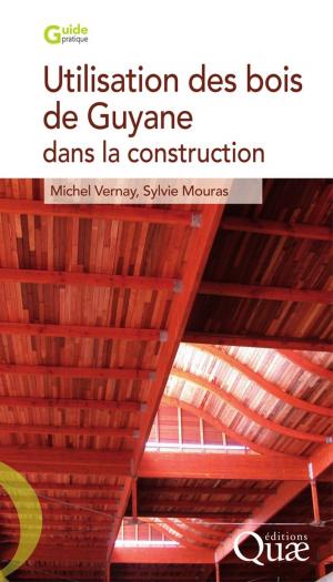 Cover of the book Utilisation des bois de Guyane pour la construction by Frédéric Landy, Bruno Dorin