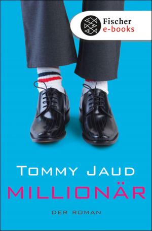 Book cover of Millionär