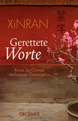 Cover of the book Gerettete Worte by Patrick Salmen, Quichotte