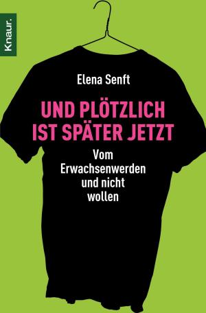 Cover of the book Und plötzlich ist später jetzt by Waris Dirie