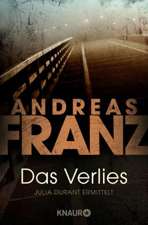 Cover of the book Das Verlies by Wolfram Fleischhauer