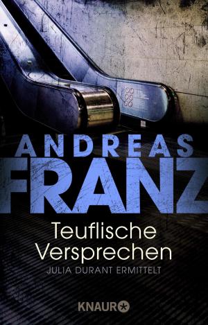 Cover of the book Teuflische Versprechen by Anne Hertz